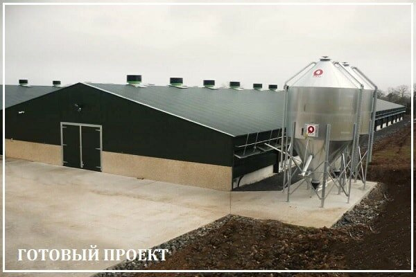 Этапы возведения птицефабрики от завода ВелесТент-грг
